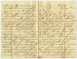 Correspondence to William Barrett Taylor, May 4, 1878 - April 18, 1880 by Elizabeth McCaw Boggs and Mary Sophia Boggs