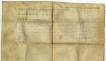 Land grant for 199 acres to Curtis Johnson, with James Wood signing as governor of Virginia, 1797.