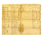 List of slaves, including their ages, at Spring Garden plantation, Florida, 1829.